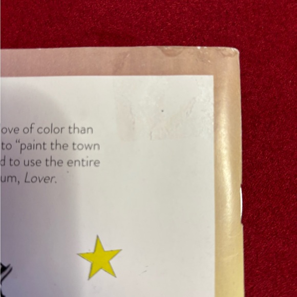 Taylor Swift Coloring Book - 32 Artistic Designs - Picture 4 of 6